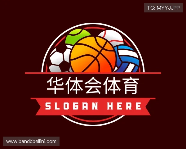 解读华体会体育